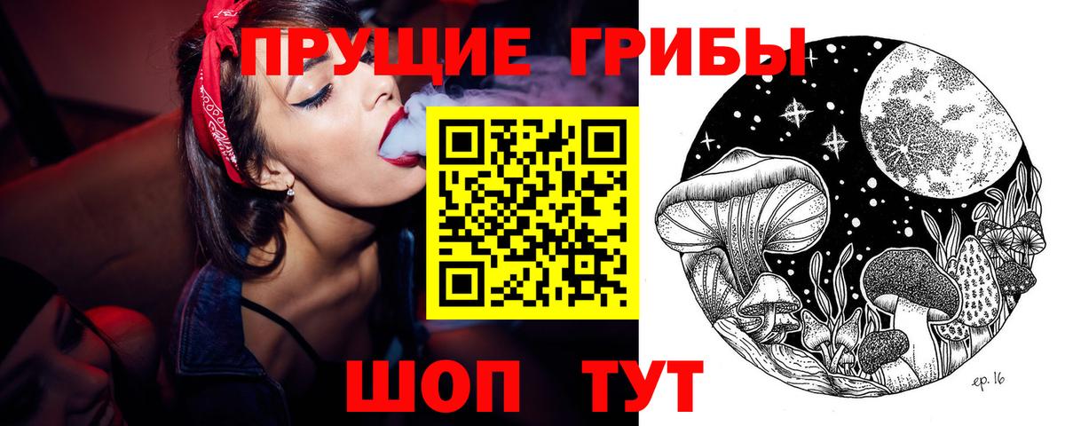 Михайловка  Галлюциногенные грибы GOLDEN TEACHER  Вход с VPN  Псилоцибиновые грибы Psilocybine cubensis 